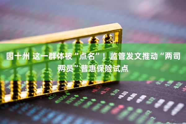 园十州 这一群体被“点名”！监管发文推动“两司两员”普惠保险试点