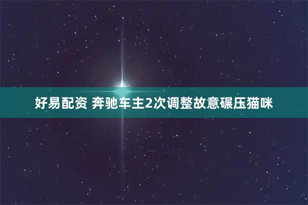 好易配资 奔驰车主2次调整故意碾压猫咪