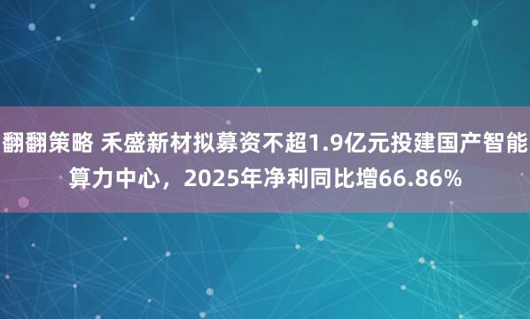 翻翻策略 禾盛新材拟募资不超1.9亿元投建国产智能算力中心，2025年净利同比增66.86%