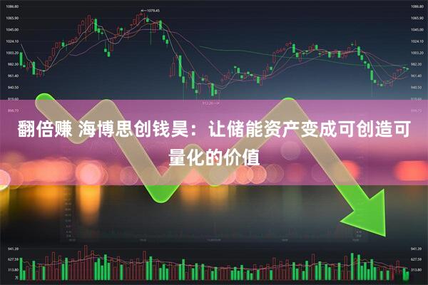翻倍赚 海博思创钱昊：让储能资产变成可创造可量化的价值